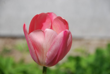 Similar image 21918379