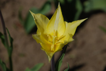 Similar image 21918380