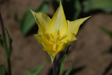 Similar image 21918381