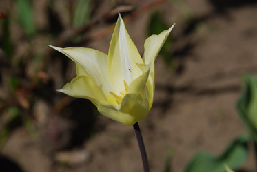 Similar image 21918442