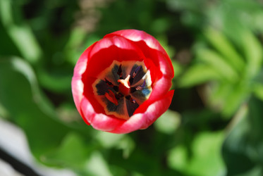 Similar image 21918443