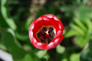 Similar image 21918444