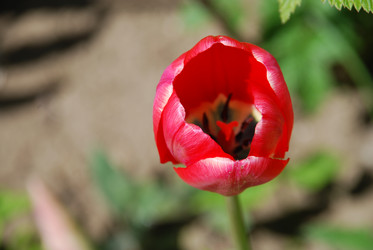 Similar image 21918445