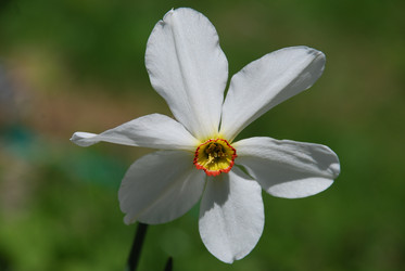 Similar image 21918447