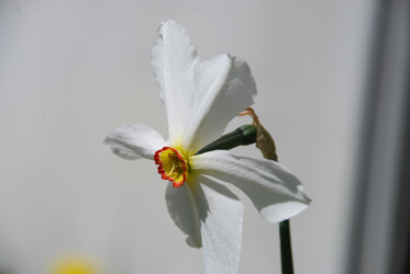 Similar image 21918448