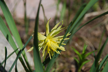 Similar image 21933831