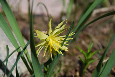 Similar image 21933832