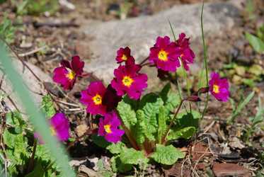 Similar image 21933833