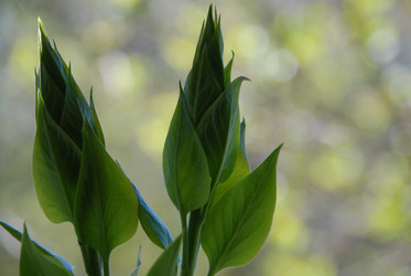 Similar image 21933834