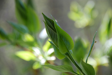 Similar image 21933835