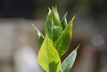 Similar image 21933836