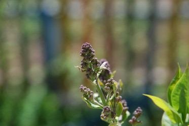 Similar image 21933837