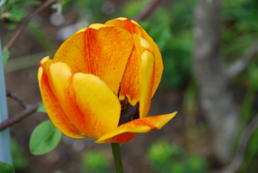 Similar image 21933841