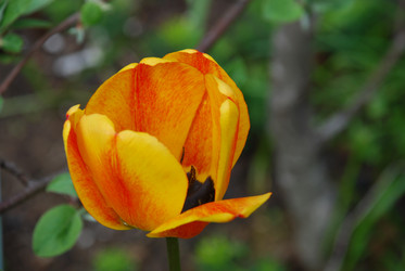 Similar image 21933842