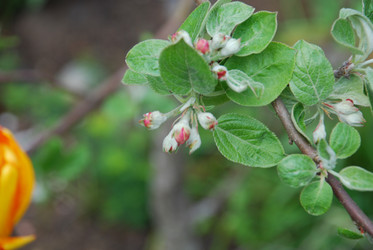 Similar image 21933843