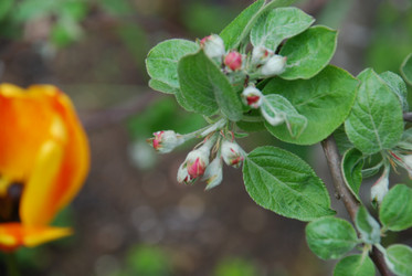 Similar image 21933844