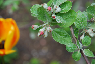 Similar image 21933845