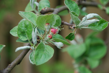 Similar image 21933846