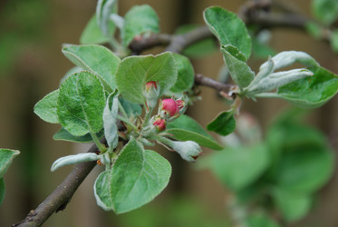 Similar image 21933847