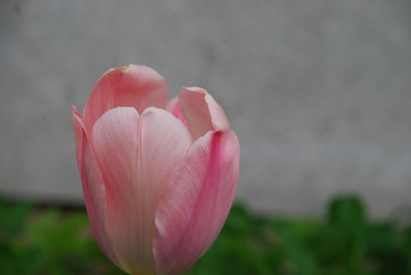 Similar image 21918382