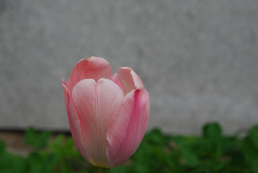 Similar image 21918383