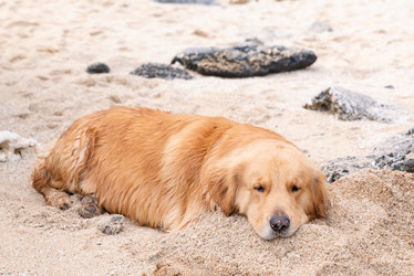 Similar image 21933049