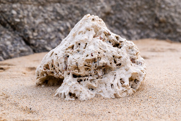 Similar image 21933052