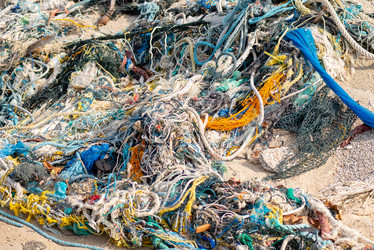 Similar image 21933061