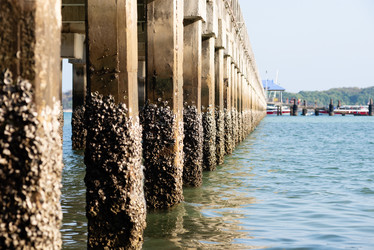 Similar image 21933086