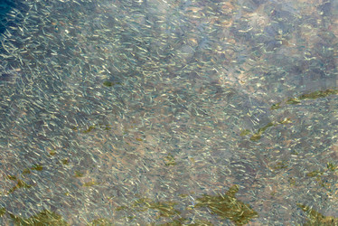 Similar image 21933092