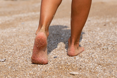 Similar image 21933100