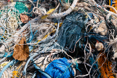 Similar image 21933103