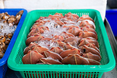 Similar image 21933107