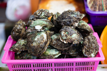 Similar image 21933109