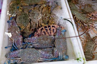 Similar image 21933112