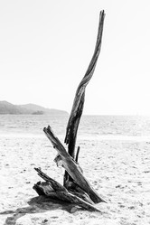 Similar image 21933125