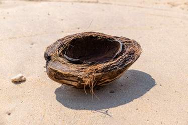 Similar image 21933134