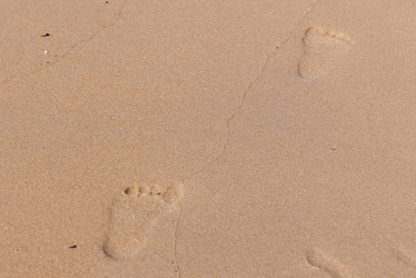 Similar image 21933135