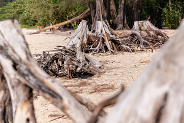 Similar image 21933137