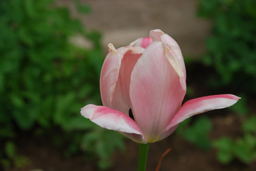 Similar image 21918384