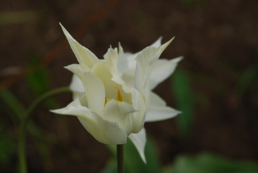 Similar image 21933848