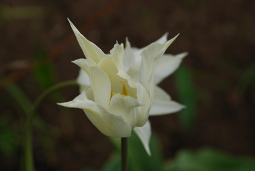 Similar image 21933849