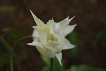 Similar image 21933850