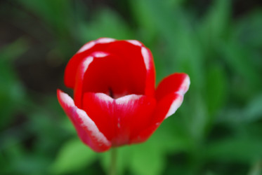 Similar image 21918385