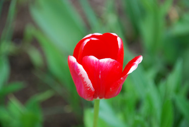 Similar image 21918386