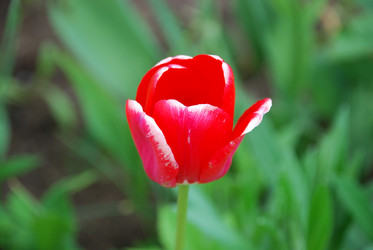 Similar image 21918387