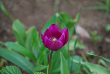 Similar image 21933852