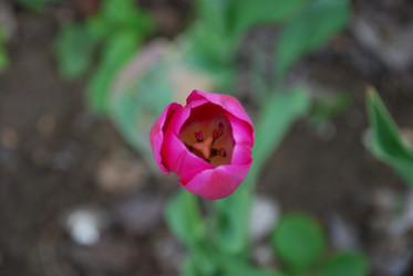 Similar image 21933854