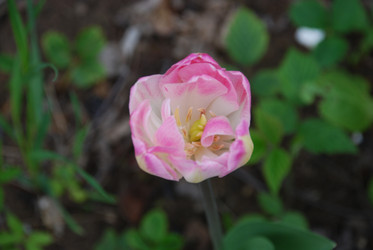 Similar image 21933855