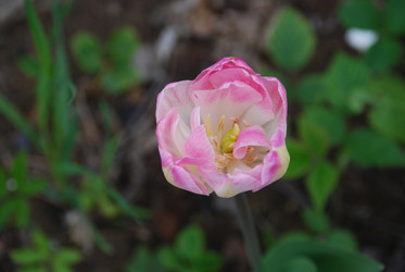 Similar image 21933856